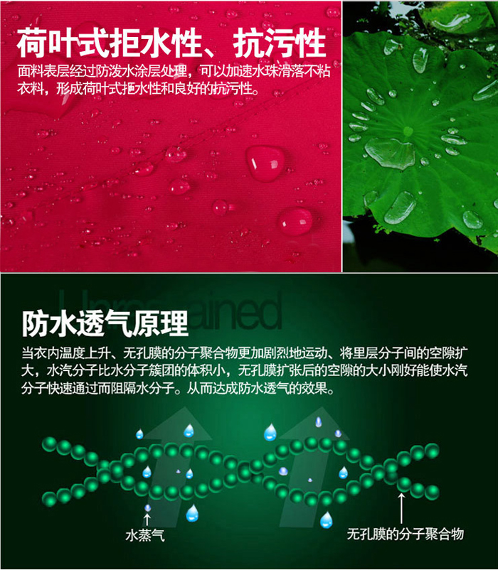 荷叶性拒水性,坑污性图片